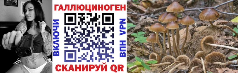 что такое наркотик Себеж Галлюциногенные грибы MAGIC MUSHROOMS